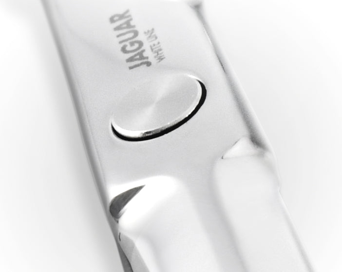 Jaguar Thinning Scissors Hera 48 smart click system for scissors alignment | Love Self Beauty