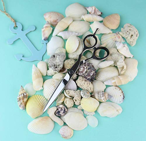 Jaguar OCEAN Hairdressing Scissor - LoveSelf Beauty