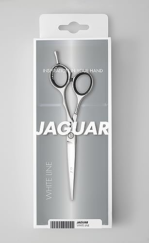 Jaguar SILVER ICE Hairdressing Scissors