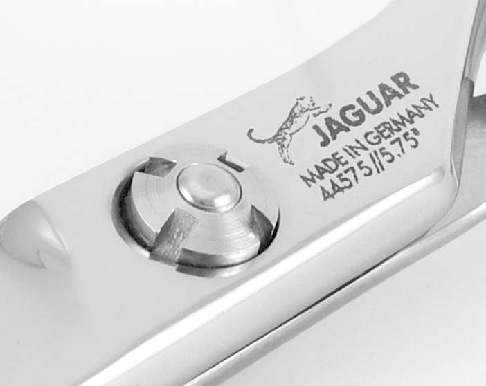 Jaguar Hera Hairdressing Scissors