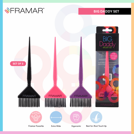 Framar Big Daddy Brush Set of 3, featuring essential hair dye and hairdressing brushes