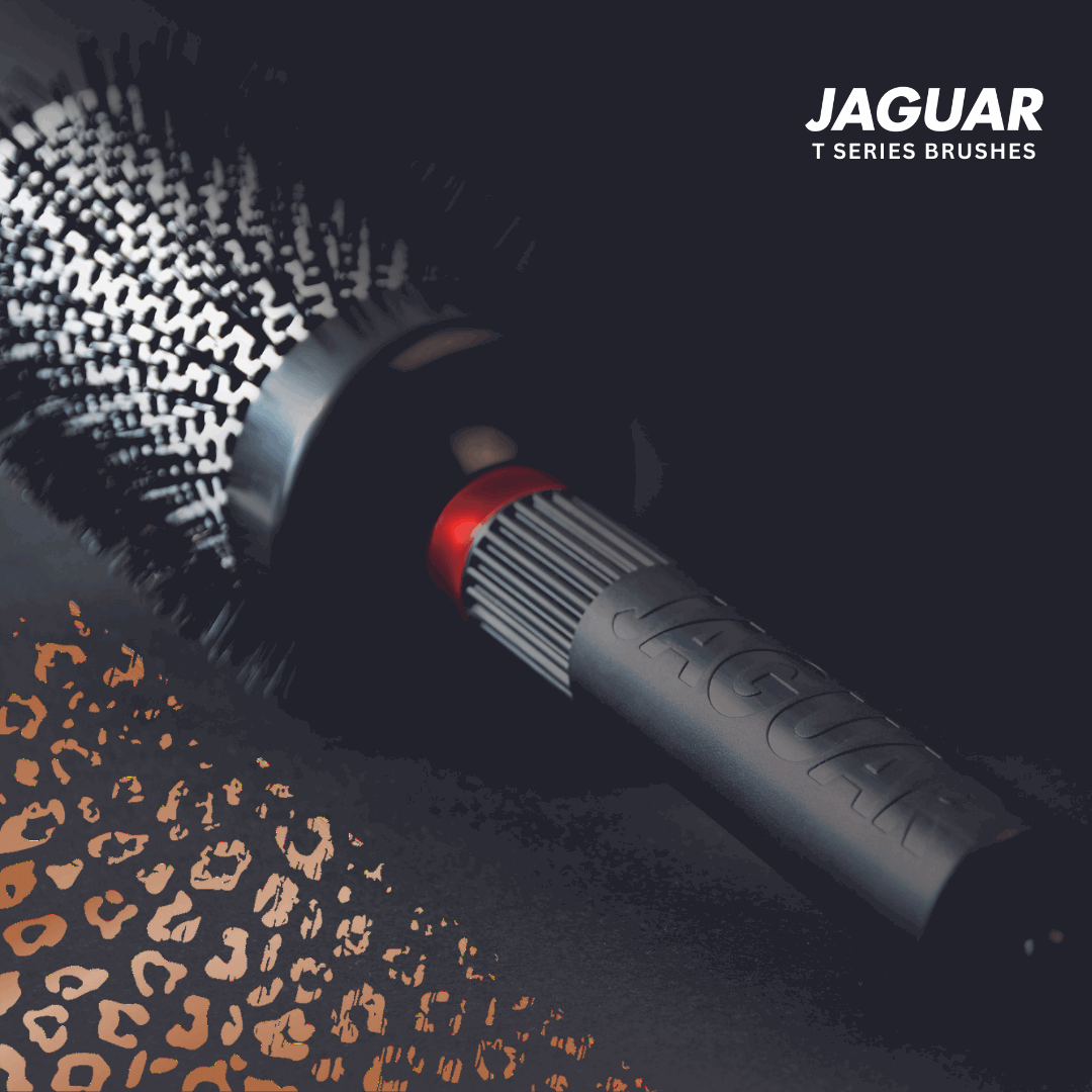 Jaguar T-SERIE ROSE Ionic Thermo Round Brushes