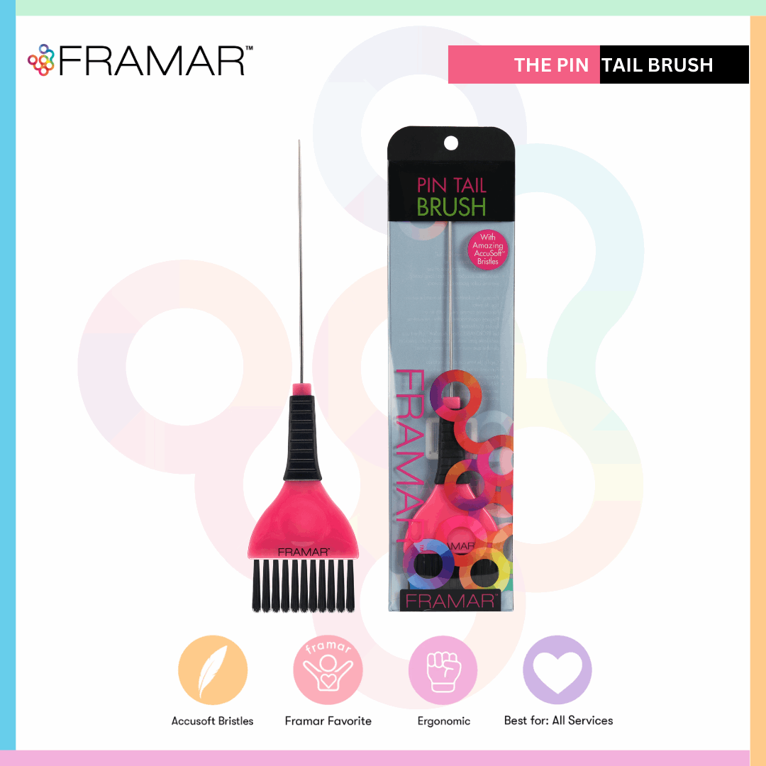 framar Pin Tail hair color Brush for salon